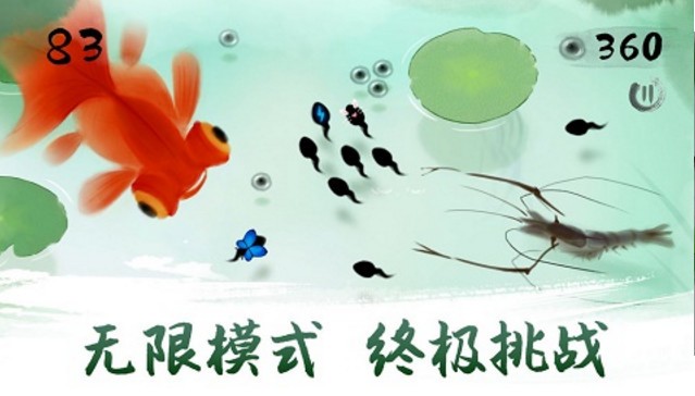 墨虾探蝌