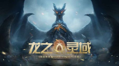 龙之灵域(1)