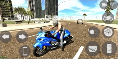 印度摩托车驾驶3d汉化版图4