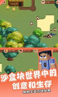 我的工艺方块世界最新版(2)