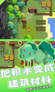 我的工艺方块世界最新版(5)